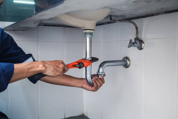 Best Local Plumber Services  in Bloomingdale, TN